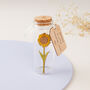 Miniature Sunflower Message Bottle Gift, thumbnail 1 of 5
