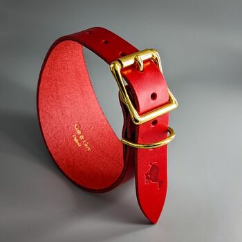 Red Leather Whippet Collar And Matching Lead Set, 4 of 11