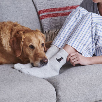 Black Labrador Dog Walking Socks, 6 of 9