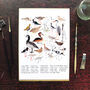 Aestes Wetland Birds Art Print, thumbnail 1 of 5