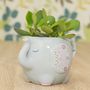 Elephant Mug Planter With A Succulent Mothers Day Gift, thumbnail 4 of 7