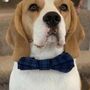 Blue Check Dog Bow Tie, thumbnail 4 of 5