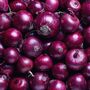 Winter Vegetable Plants Red Onion 24 X Plant Pack, thumbnail 3 of 3