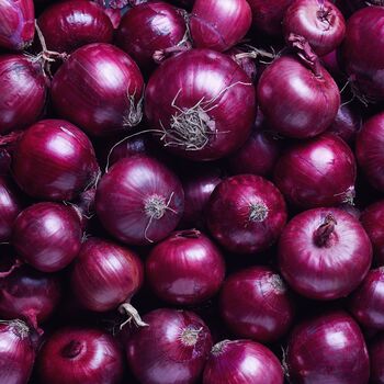 Winter Vegetable Plants Red Onion 24 X Plant Pack, 3 of 3