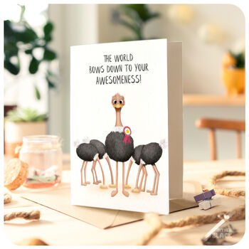 Ostrich Funny Congratulations Well Done Exam Graduation Driving Test General Awesomeness Card You're The Best, 4 of 4