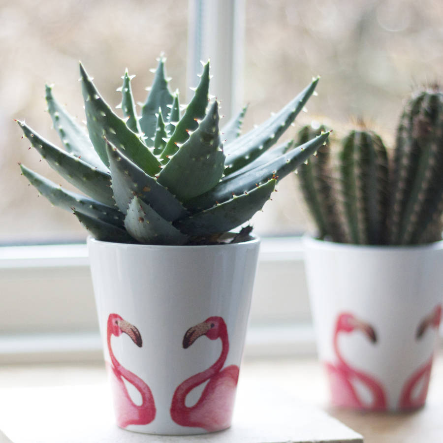flamingo plant pot by snapdragon