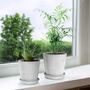 Pack Of Two Stripe Cement Plant Pot With Saucer, thumbnail 1 of 7