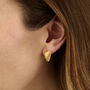 Angel Shell Stud Earrings, thumbnail 1 of 6