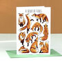 Wildlife Collective Nouns Greetings Card Pack, thumbnail 6 of 11