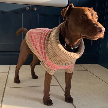 Paddy Sustainable Dog Jumper, 5 of 12