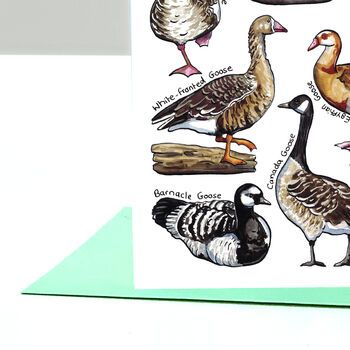 Geese Of Britain Greeting Card, 6 of 7