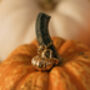 Sterling Silver/ 18ct Gold Plated Pumpkin Pendant, thumbnail 4 of 4