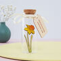 December Birth Flower Message Bottle Birthday Gift, thumbnail 7 of 12