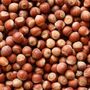 Hazelnut Tree Kentish Cobnut One X 10 L Pot, thumbnail 5 of 8