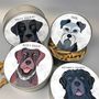 Dog Treat Tin 65 Personalised Designs Available, thumbnail 1 of 12