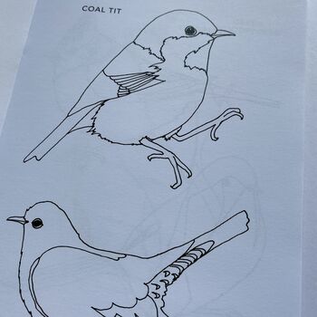 'Colouring Book Of Birds', 5 of 9