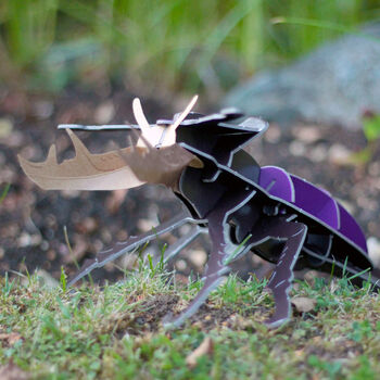Build Your Own Personalised Stag Beetle Kit, 5 of 9