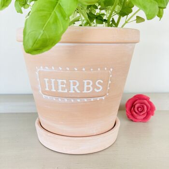 Herb Plant Pot, 5 of 6