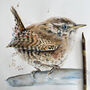Inky Wren Eco Wooden Pin Brooch, thumbnail 4 of 7