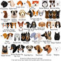 Dog Breed ID Tag Personalised, thumbnail 3 of 12