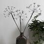 Three Fine Wire Cow Parsley Stems, thumbnail 9 of 9
