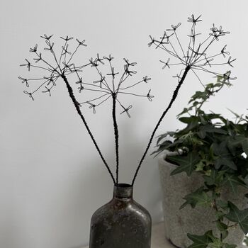 Three Fine Wire Cow Parsley Stems, 9 of 9