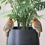 Set Of Two Robin Pot Hangers, thumbnail 1 of 3