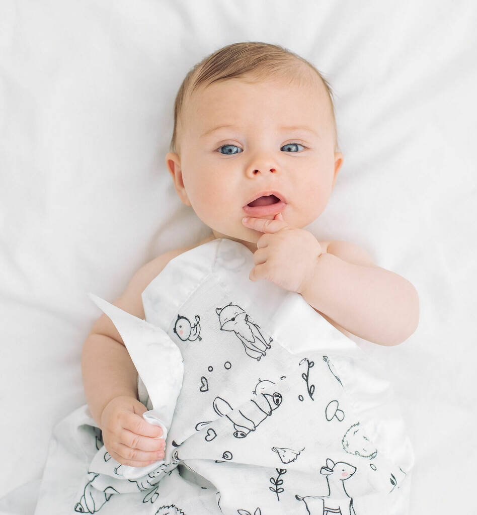 Forest Animal New Baby Muslin Comforters • Two Pack By Bullabaloo