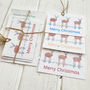 Plantable Christmas Reindeer Seed Card Gift Tags, thumbnail 2 of 2
