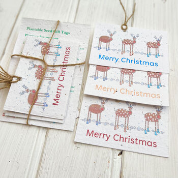 Plantable Christmas Reindeer Seed Card Gift Tags, 2 of 2
