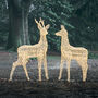 Plug In LED Reindeer Xl Stag And Doe Christmas Figures, thumbnail 5 of 6