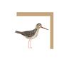 Red Shank Greetings Card, thumbnail 2 of 2