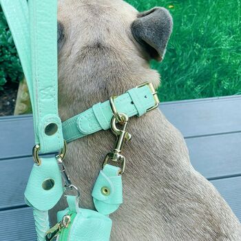 Handmade Braided Italian Leather Dog Lead In Mint Green, 5 of 6