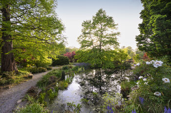 Entrance To R.H.S Garden Harlow Carr For Two, 7 of 11