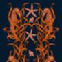 Spikey Seahorse Starfish Midnight Wall Art, thumbnail 2 of 2