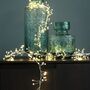 Pearl Cluster Battery Or Mains Fairy Lights, thumbnail 1 of 6