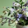 King Charles Iii Wild Fresh Flower Botanical Posy, thumbnail 2 of 4