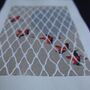 Red Bird Art Print, thumbnail 6 of 8