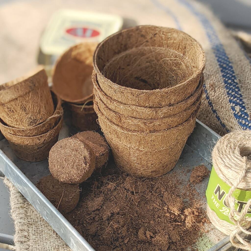 Coco Coir Pots And Coir Compost By The Danes | notonthehighstreet.com