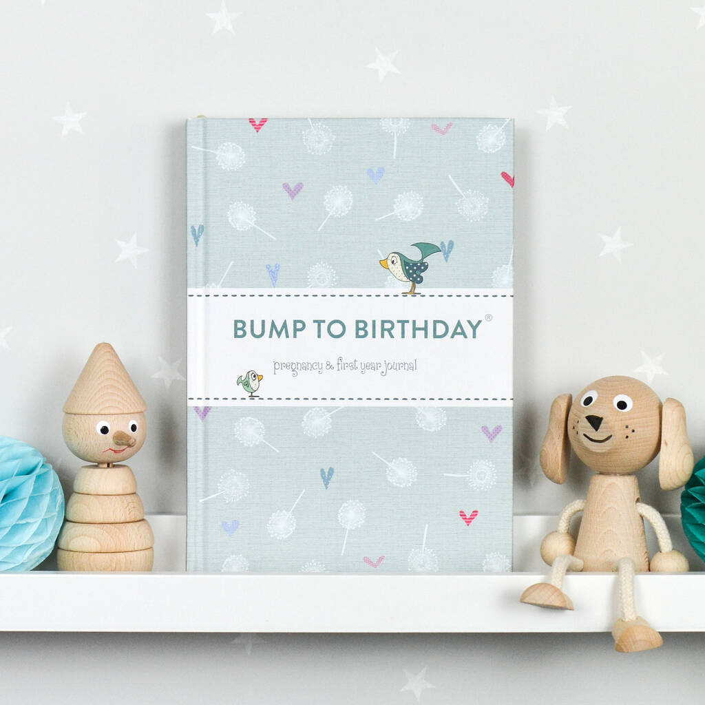  What The Bump Wants The Bumps Gets : My pregnancy journal,  Pregnancy Planner and Organizer Book, form Bump to Birthday, Pregnancy &  First Year Baby  Journal, Pregnancy & First Year