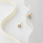 Swarovski Crystal Stud Earrings, thumbnail 6 of 6
