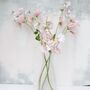 Pink Sweet Pea Stems Faux, thumbnail 7 of 7