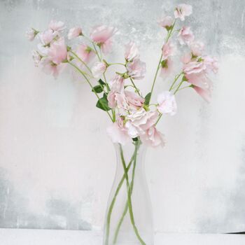 Pink Sweet Pea Stems Faux, 7 of 7