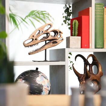 Guanlong Skull – Dinosaur Model – Prehistoric Decor, 2 of 4