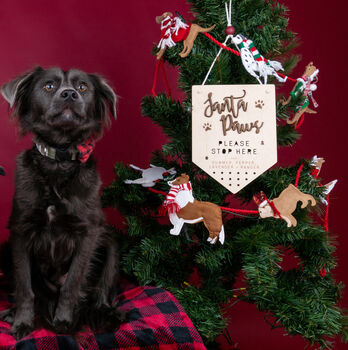 Personalised 'Santa Paws, Stop Here!' Christmas Sign, 4 of 4