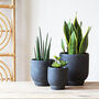 Black 'Ivon' Planters, thumbnail 1 of 2