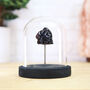 Tektite Meteorite Bell Jar Real Authentic Space Meteor Fragment Museum Quality Natural History Interior Design Home Decor Display Gift Ornament, thumbnail 1 of 5