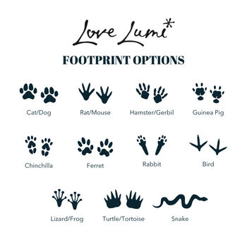 White Wooden Photo And Mirror Paw Prints Pet Ashes Box, 3 of 5