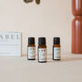 Set Of Three Italy Inspired Diffuser Fragrance Oils, thumbnail 3 of 4