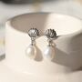 Silver Shell And Pearl Drop Studs, thumbnail 2 of 5